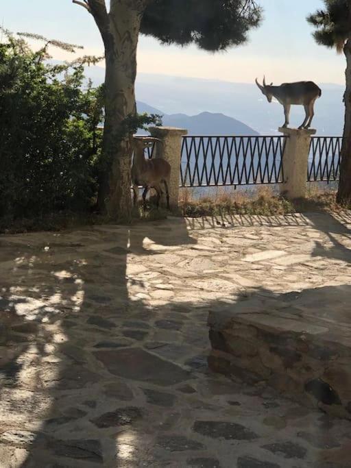 Luxury Apartment Sierra Nevada グラナダ エクステリア 写真
